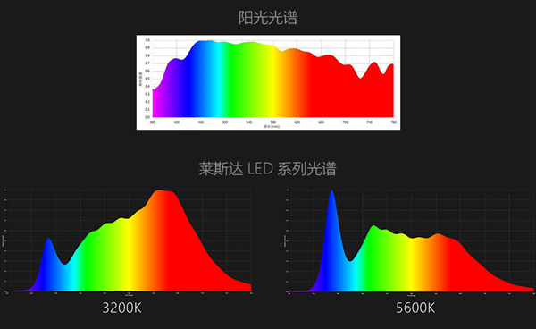 1631177066919823.jpg 14.jpg